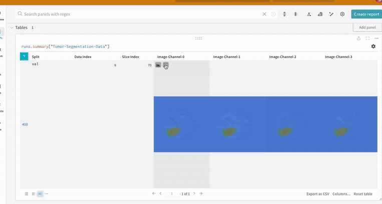Brain tumor segmentation